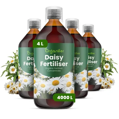 Produktbild von Gänseblümchen Flüssigdünger 4x1L – 2-1-8 NPK – Flüssigdünger Für Blühpflanzen – Für Blätter & Üppige Blüte – Fördert Wurzeln & Vitalität – Organifer