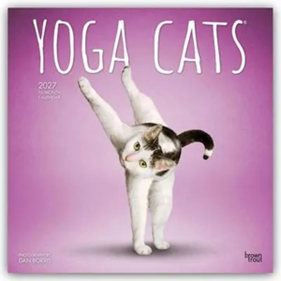 Produktbild von Yoga Cats - Katzen Yoga 2027 - 16-Monatskalender