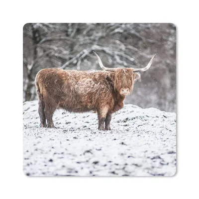 Produktbild von MuchoWow® Mauspad Mousepad Schottischer Highlander - Baum - Schnee 30x30 cm - Mousepads - Maus Mat - Pad - Mausunterlage - Gaming