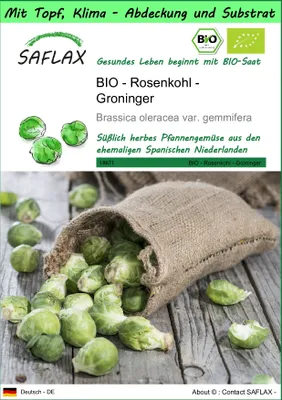 Produktbild von SAFLAX Garden to go - BIO - Rosenkohl - Groninger - Brassica oleracea var. gemmifera - 30 Samen - Mit Topf, Klima - Deckel und Anzuchtsubstrat