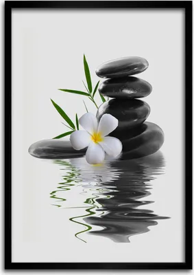 Produktbild von Bild - Bilderrahmen - Foto - 70 cm x 100 cm - MDF - Rahmen - Wandkunst - Orchidee und Steine