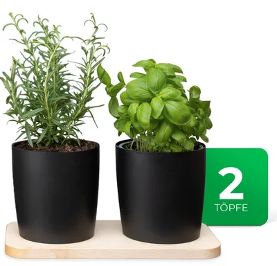 Produktbild von Novaliv Stilvolle Kräuterstation 2er Set mit Holzunterlage und 2 Kräutertöpfe für jede Fensterbank, Für frische Küchenkräuter, Kräutergarten für die küche, Kräuterbeet indoor, Blumentopf, Übertopf