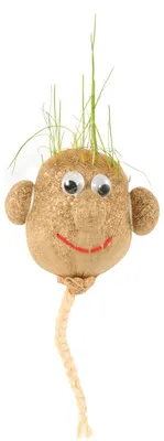 Image de Tête d'herbe, 12 pièces