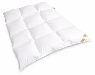 Produktbild von Betten Hofmann Sibiria Winter Daunendecke Bettdecke 3x4 135x200 sibir. Wildgans warm
