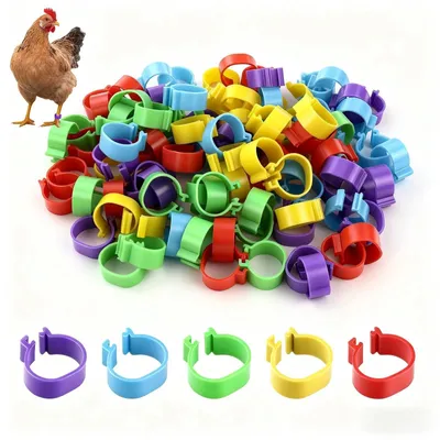 Immagine prodotto di Set di 250 anelli in plastica per pollame