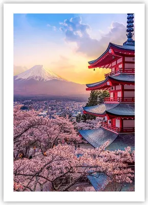 Produktbild von Poster - Poster ohne Rahmen - Fuji Choreito Pagode - 50x70 cm - Wand Bild - Wanddeko - Wandbilder - Kunstposter - Wandposter - Bilder - Kunstdruck - Wanddekoration - Wandbild - P2XPA50x70-4547