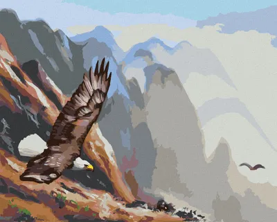 Produktbild von Zuty - Malen nach Zahlen - FLIEGENDER ADLER IN DEN BERGEN (D. RUSTY RUST), 40x50 cm, mit Keilrahmen (bereits gespannt)