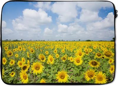 Produktbild von MuchoWow® Laptop Hülle 13 Zoll Sonnenblumen - Blumen - Wolken - Natur - Gelb - Landschaft Laptoptasche - Laptophülle - Sleeve - Rundumschutz