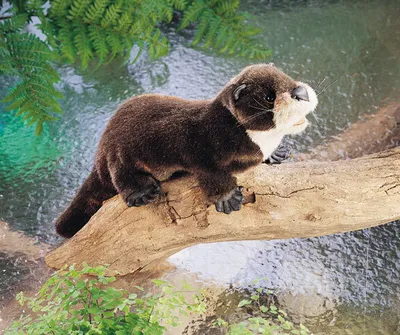 Produktbild von Folkmanis Handpuppe Otter 45 cm