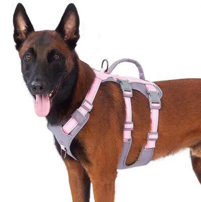 Immagine prodotto di Solidchoice - Imbracatura antipull per cani con maniglia per supporto mobile