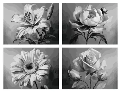 Produktbild von Schipper Blumenvielfalt Malen nach Zahlen, Farben enthalten, Junge/Mädchen, Bilder-Set zum Ausmalen