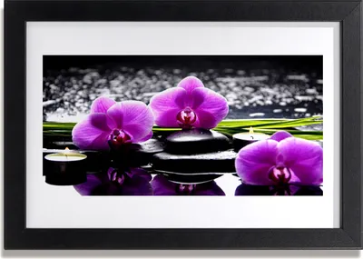 Produktbild von Bild 30x20 MDF-Rahmen Wandkunst Blume Orchidee Pflanze