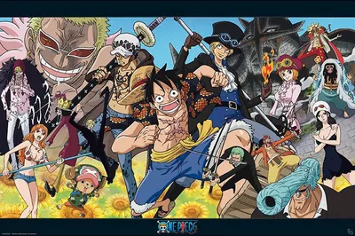 Produktbild von One Piece - Poster - Dressrosa