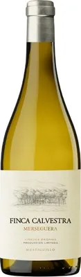 Image de Finca Calvestra Magnum 2021 Vin blanc Espagne Non DO Espagne 150,00 cl 13,0 %