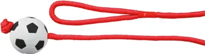 Produktbild von TRIXIE Ball mit Seil, Moosgummi, 6 cm