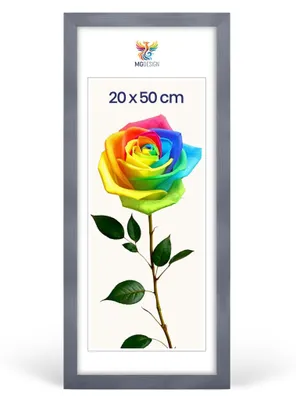 Produktbild von MG Design Bilderrahmen 20 x 50 cm - Posterrahmen mit Grau Holzrahmen (Echtholz) und bruchsicherem Acrylglas, Hoch & Quer mit stabiler Wandaufhängung