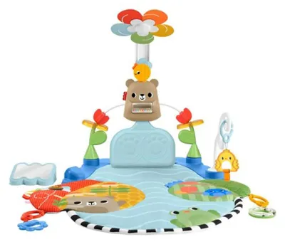Obrázek produktu pro Fisher-Price HYR60, Dětská posilovna, Hrazda s hračkami, Textil, Plast, Vícebarevný