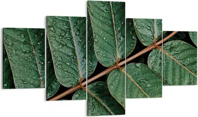 Produktbild von Bild auf Leinwand - Leinwandbild - 5 Teile - Tropfen Wasser Blätter - 125x70cm - Wand Bild - Wanddeko - Wandbilder - Leinwanddruck - Bilder - Wanddekoration - Leinwand bilder - EA125x70-4328