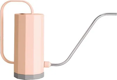 Immagine prodotto di Mini irrigatore da interno per piante da appartamento - Irrigatore in acciaio inossidabile - Mini attrezzo da giardinaggio per piante da appartamento e bonsai