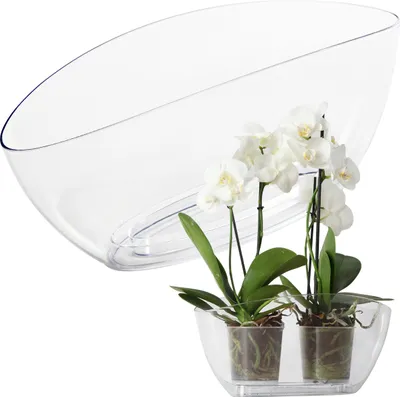 Immagine prodotto di Vaso da fiori Lamela | Luna | Trasparente | Chiaro | 35 cm