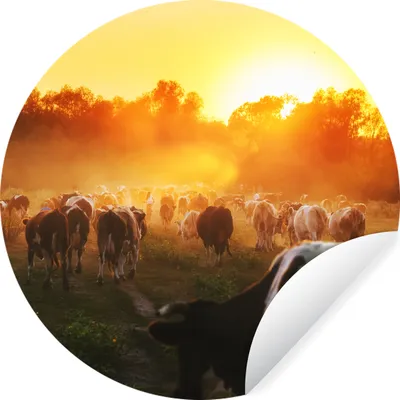 Produktbild von MuchoWow® Runde Wandtattoo - Wandsticker Tapete Aufkleber Kühe - Sonnenuntergang - Wiese - Tiere Ø 100 cm Selbstklebend und Repositionierbar - Wandaufkleber - Kreis - Tapetenkreis - Wandbild rund - Schlafzimmerdekoration - Wanddeko - runde Tapete - Kunst für zu Hause