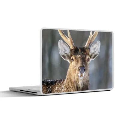Produktbild von MuchoWow® Laptop Aufkleber Sticker Cover Hirschgeweih Braun Weiß 30x21 cm - Sticker für Laptop - Selbstklebend