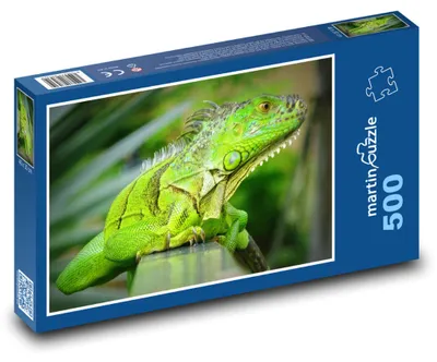 Zdjęcie produktu dla martinpuzzle - Puzzle 500 elementów - "Chameleón"