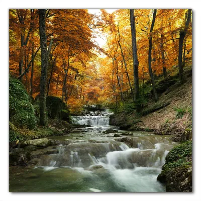 Produktbild von Wallario selbstklebende Möbelfolie/ Tischdecke für Innen und Außen, Größe: 90 x 90 cm - Kleiner Bach über Steine im Herbstwald