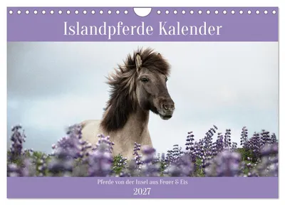 Produktbild von Islandpferde Kalender (Wandkalender 2027 DIN A4 quer), CALVENDO Monatskalender