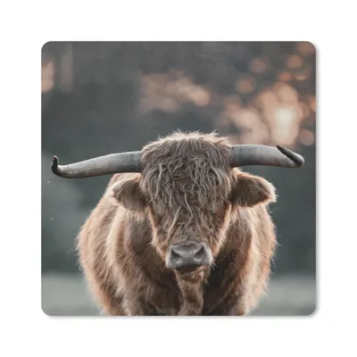 Produktbild von MuchoWow® Mauspad Mousepad Kuh - Schottischer Hochländer - Hoorn 30x30 cm - Mousepads - Maus Mat - Pad - Mausunterlage - Gaming