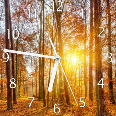 Produktbild von Wallario Design Wanduhr Sonnenuntergang im herbstlichen Wald aus Echtglas, Größe 20 x 20 cm