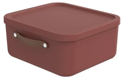 Produktbild von Rotho Aufbewahrungsbox 20 L Maloja - Kunststoffbox mit Deckel - Stapelbox 39,5 x 38,0 x 17,7 cm - Plastikbox Ordnungsbox Allzweckkiste
