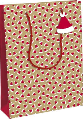 Produktbild von Clairefontaine 6x Geschenktasche Kraft 26,5x14x33cm Kartonbraun X-30897-2C