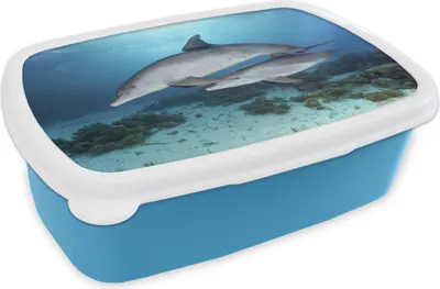 Obrázok produktu pre KitchenYeah® Lunchbox Box na desiatu 17x11 cm Delfín - teľa - more Detský box na desiatu - obed - plastový - plechovka na chlieb - sendvičový box - box na desiatu pre deti