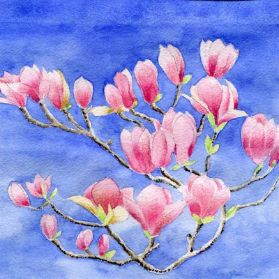 Produktbild von Servietten 33x33 cm - Magnolia