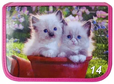 Produktbild von Warta Schulranzen Federmäppchen Katzen Hunde