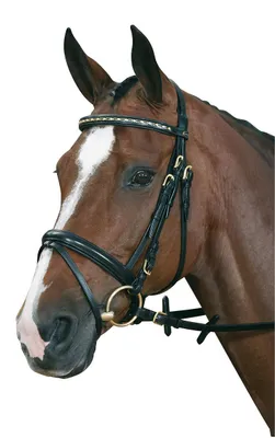 Produktbild von Hubertus Classic Zaum in F/S