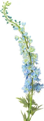 Produktbild von Künstlicher Rittersporn Blau 130cm Dekoblume Delphinium