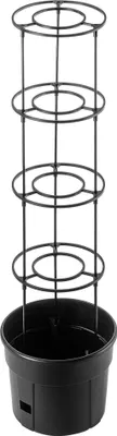 Image de Pot de plantation pour tomates - Bac à plantes - 12 L - Pour la culture des tomates