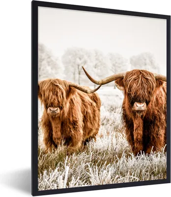 Produktbild von MuchoWow® Gerahmtes Poster Schottischer Highlander - Kuh - Tiere 60x80 cm - Poster mit Schwarzem Bilderrahmen Wandposter Rahmen Foto Bilder - Premium - Wanddeko Wohnzimmer