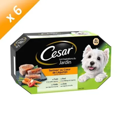 Productafbeelding van CESAR Tabletten, terrine met hartvormige groentevulling - 4 smaken - Geschikt voor volwassen honden - 4 x 150 g (verpakking met 6)