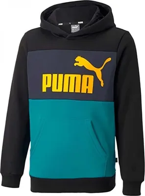 Productafbeelding van Hoodie Puma 849081-27 voor Uni