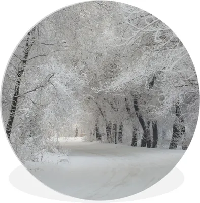 Produktbild von MuchoWow® Rundes Wandbild - Runde Bilder Bäume - Schnee - Winter Ø 90 cm Kreis Wanddekoration Kunststoff - Wandkreis - Wandschmuck - Wand-Kreis - Wohnzimmer - Bild - Runde - Wanddeko - Dibond - Kunstdrucke