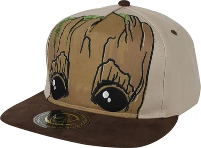 Produktbild von Guardians Of The Galaxy Cap Uni Groot multicolor Standard