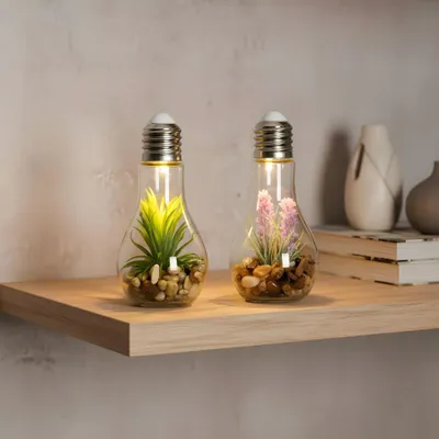 Produktbild von 2er Set Sukkulenten Glühbirne Glas je B x H 8 x 19cm Deko LED Lampe Kunstpflanze