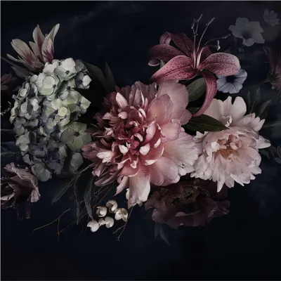Produktbild von Fototapete Blumen - Vliestapete - Bildtapete UV-beständig Rose schwarz Vintage Wandtapete geruchsfrei