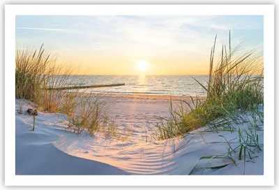 Produktbild von Poster - Poster ohne Rahmen - Düne Strand Meer - 91,5x61 cm - Wand Bild - Wanddeko - Wandbilder - Kunstposter - Wandposter - Bilder - Kunstdruck - Wanddekoration - Wandbild - P2XAA91x61-3989