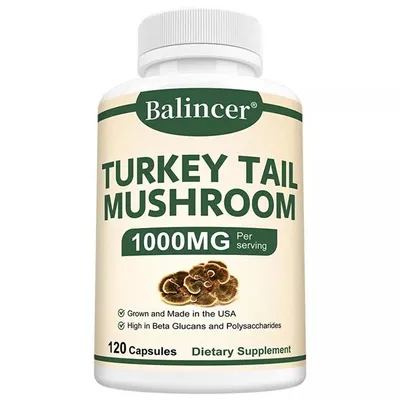Produktbild von Turkey Tail Mushroom 1000mg (120 Kapseln) Nahrungsergänzungsmittel, Verdauung, Immunsystem, Darmgesundheit