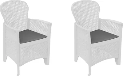 Produktbild von 2er-Set Gartenstühle Amilton, Gartensitz, Für drinnen und draußen, Mit Armlehnen,  Italy, 59x57 h86 cm, Weiß