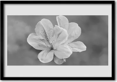Produktbild von Bild 100x70 MDF-Rahmen Wandkunst Blumen Pflanzen